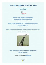 Comment accompagner des personnes exilées? Eclairage sur les enjeux politiques et psycho-juridiques des demandes de protection internationale ; Les effets psychiques de l'exil et la place de la dimension culturelle dans l’accompagnement, ainsi que sur L'accompagnement des personnes traumatisées en contexte d'exil. 